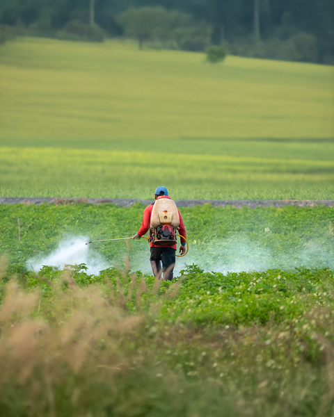 Salvaging Failed Batches with AFS Pesticide Remediation Technology